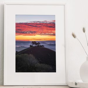 Colmer's Hill Sunrise