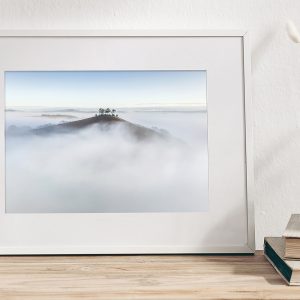 Colmer's Fog