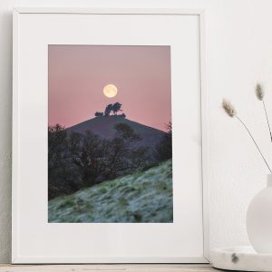 Colmer's Hill Moon